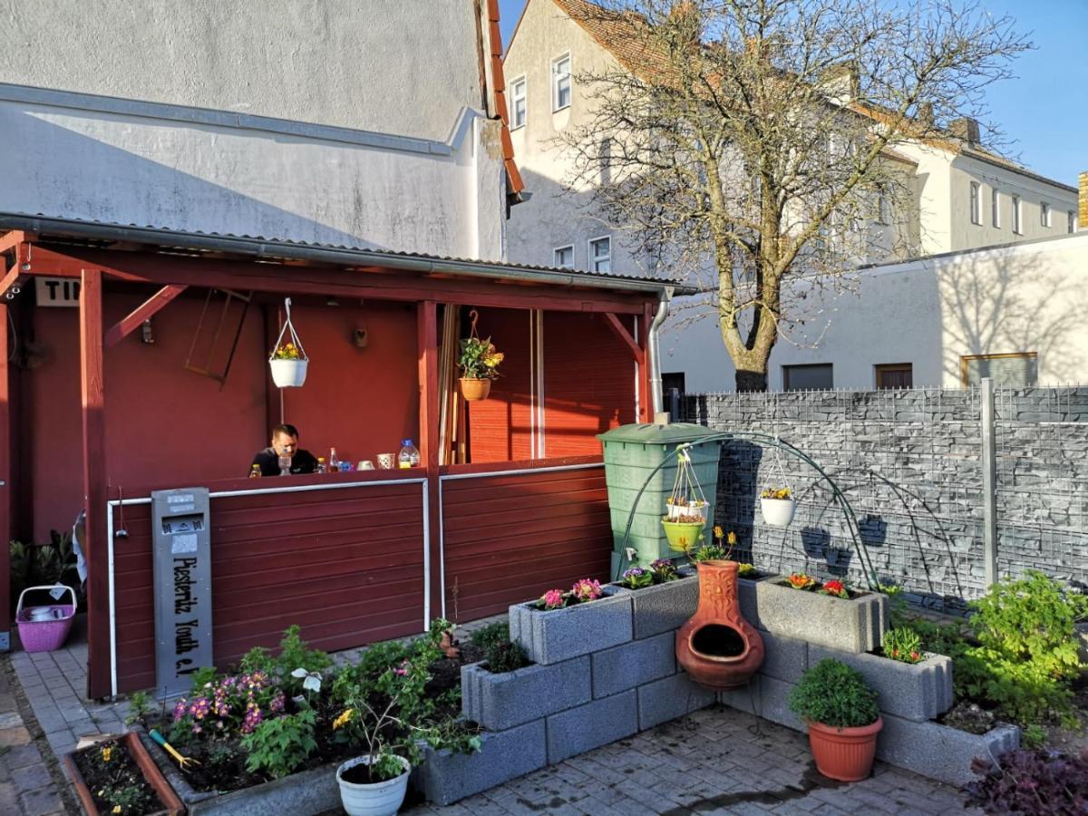 Pension Zur Gartenstadt Wittenberg Zewnętrze zdjęcie